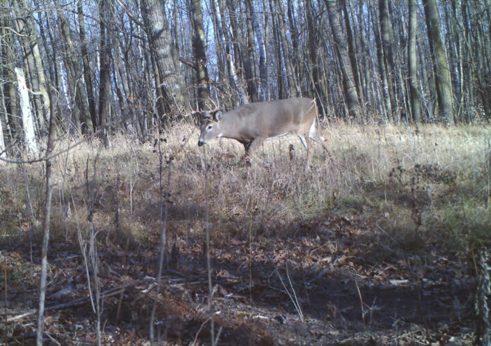 ‘Hunting should be good’